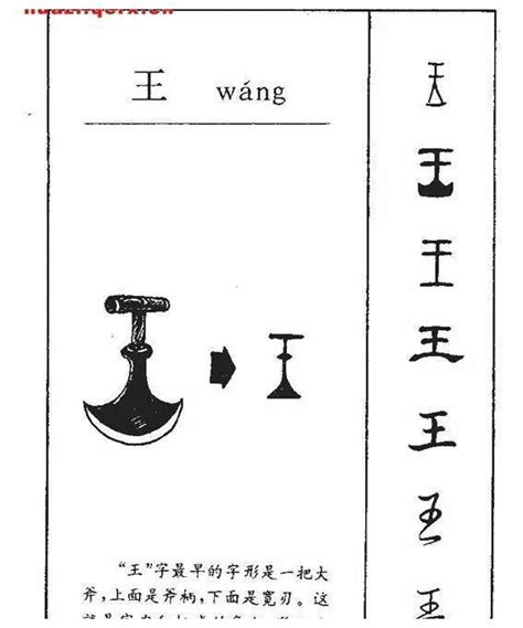 王字部首|部首為王的字